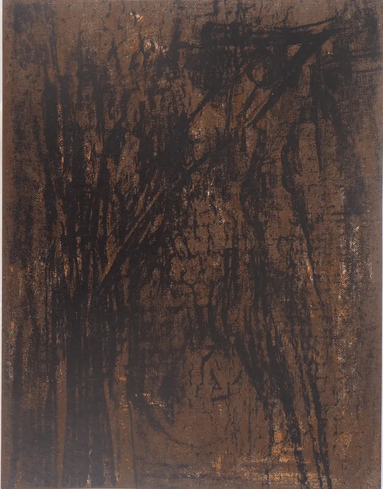 Lithografie Vieira Da Silva - Terre du Portugal