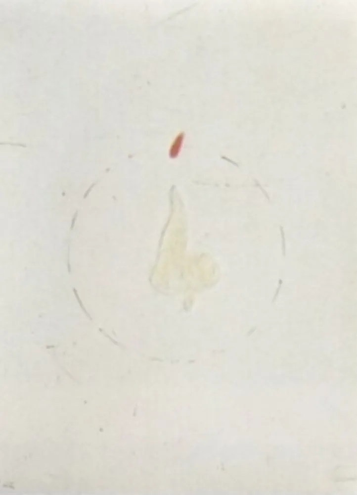 Lithografie Viladecans - Entrebanc 19