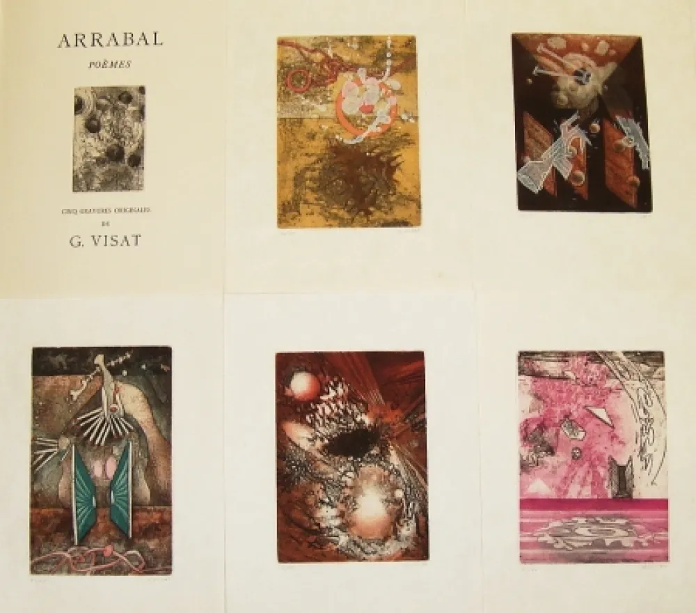 Geïllustreerd Boek Visat - Poèmes