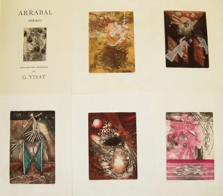 Geïllustreerd Boek Visat - Poèmes