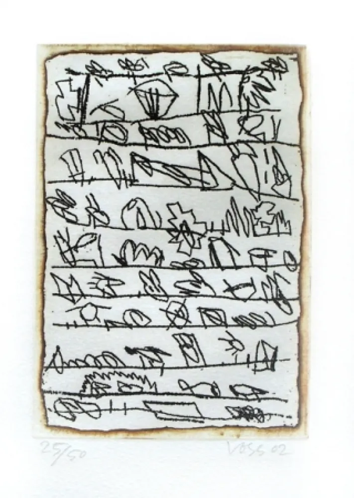 Geïllustreerd Boek Voss - La dispersion