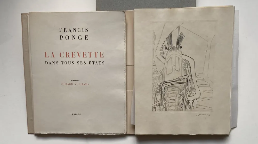Geïllustreerd Boek Vulliamy - LA CREVETTE DANS TOUS SES ETATS