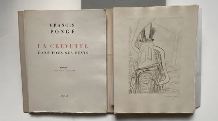 Geïllustreerd Boek Vulliamy - LA CREVETTE DANS TOUS SES ETATS