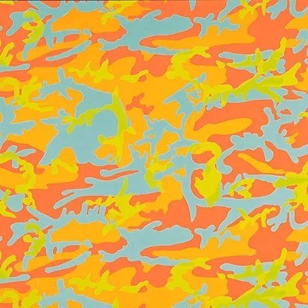 Zeefdruk Warhol - Camouflage 413 by Andy Warhol