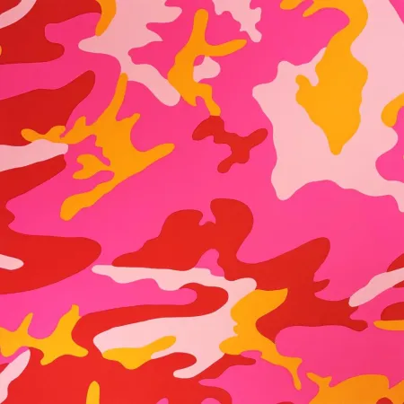 Zeefdruk Warhol - Camouflage, II.408