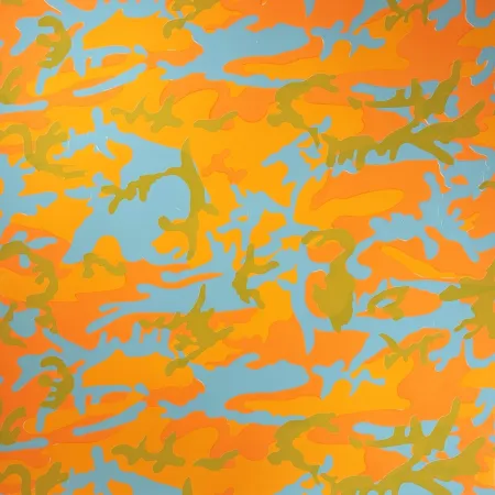 Zeefdruk Warhol - Camouflage, II.413