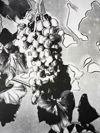 Zeefdruk Warhol - Grapes