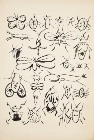 Lithografie Warhol - Happy Bug Day
