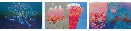 Zeefdruk Warhol - Kiku, Complete Portfolio