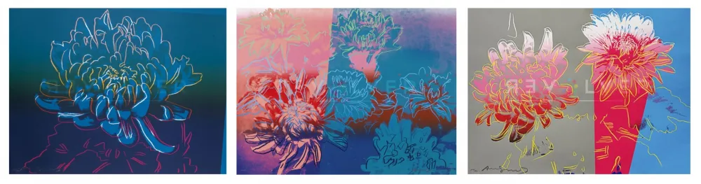 Geen Techniek Warhol - Kiku Complete Portfolio (FS II.307-309)