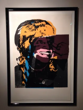 Geen Techniek Warhol - Ladies and Gentlemen