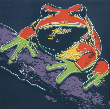 Zeefdruk Warhol - Pine Barrens Tree Frog