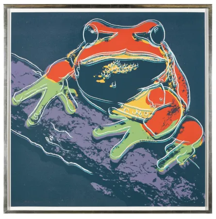 Zeefdruk Warhol - Pine Barrens Tree Frog (FS II.294)