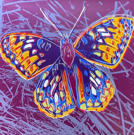 Zeefdruk Warhol - San Francisco Silverspot (FS II.298)