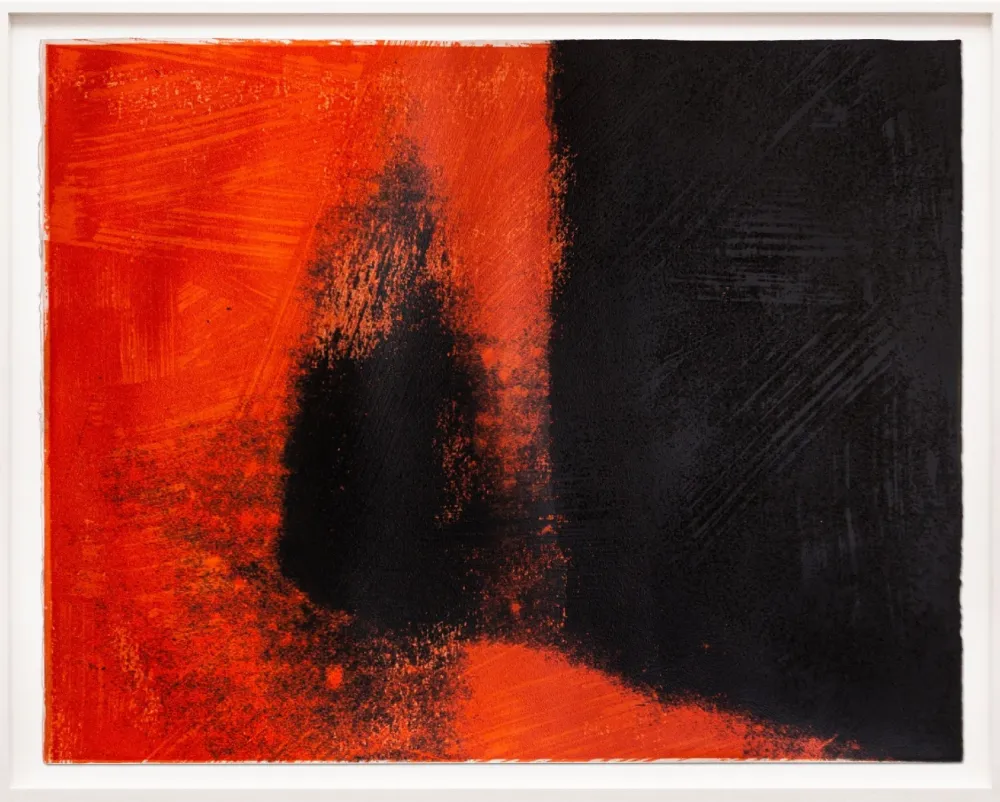 Zeefdruk Warhol - Shadows I