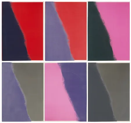 Zeefdruk Warhol - Shadows II Complete Portfolio (FS II.210-215)
