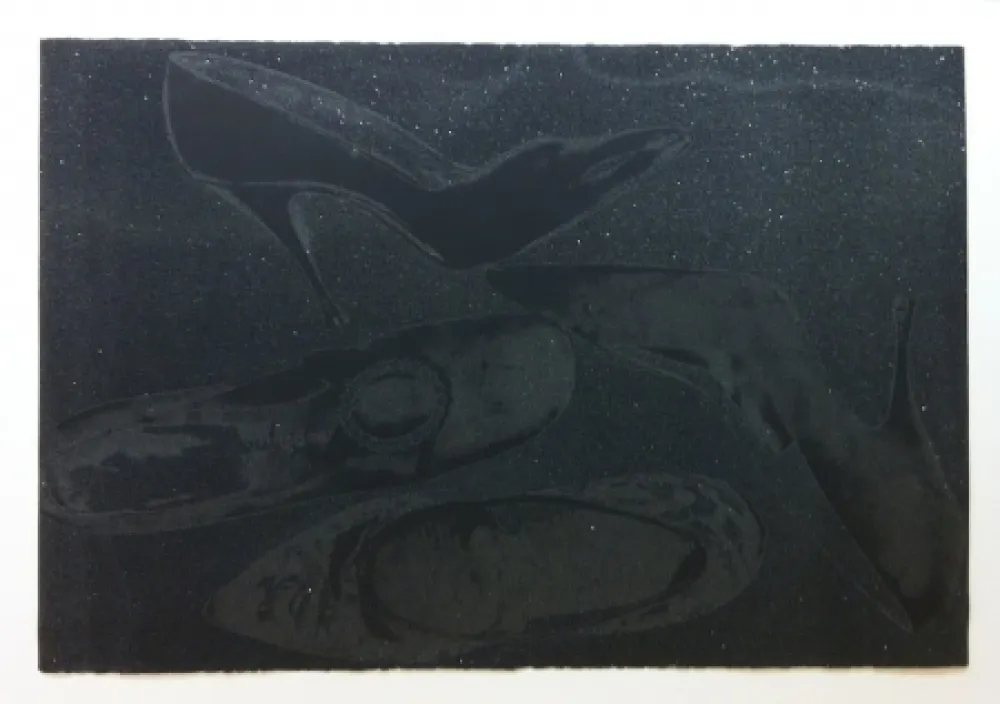 Zeefdruk Warhol - Shoes II.248 (Deluxe Edition)