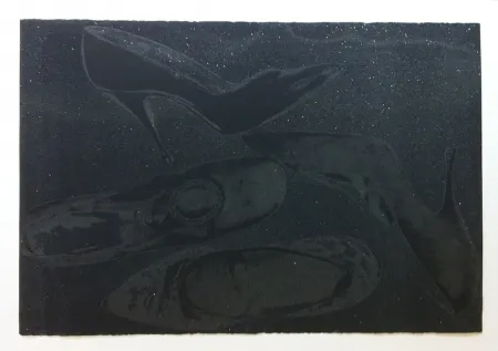 Zeefdruk Warhol - Shoes II.248 (Deluxe Edition)