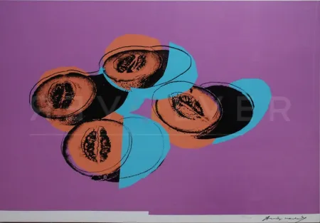 Zeefdruk Warhol - Space Fruit: Cantaloupes II (FS II.198)