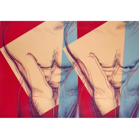 Zeefdruk Warhol - Torso (Double) (FS IIIA.35)