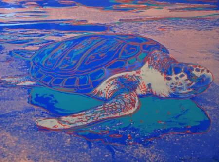 Zeefdruk Warhol - Turtle 