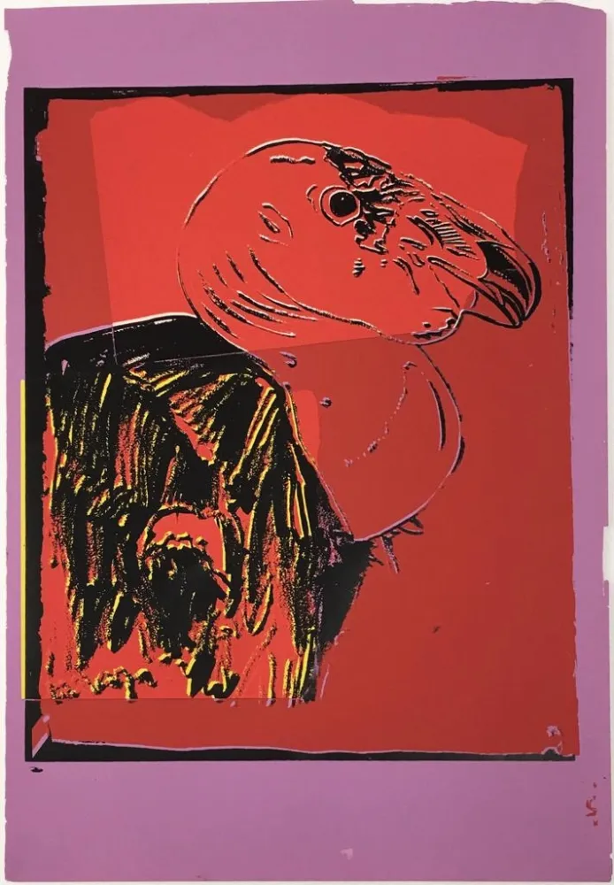 Zeefdruk Warhol - Vanishing Animals: California Condor