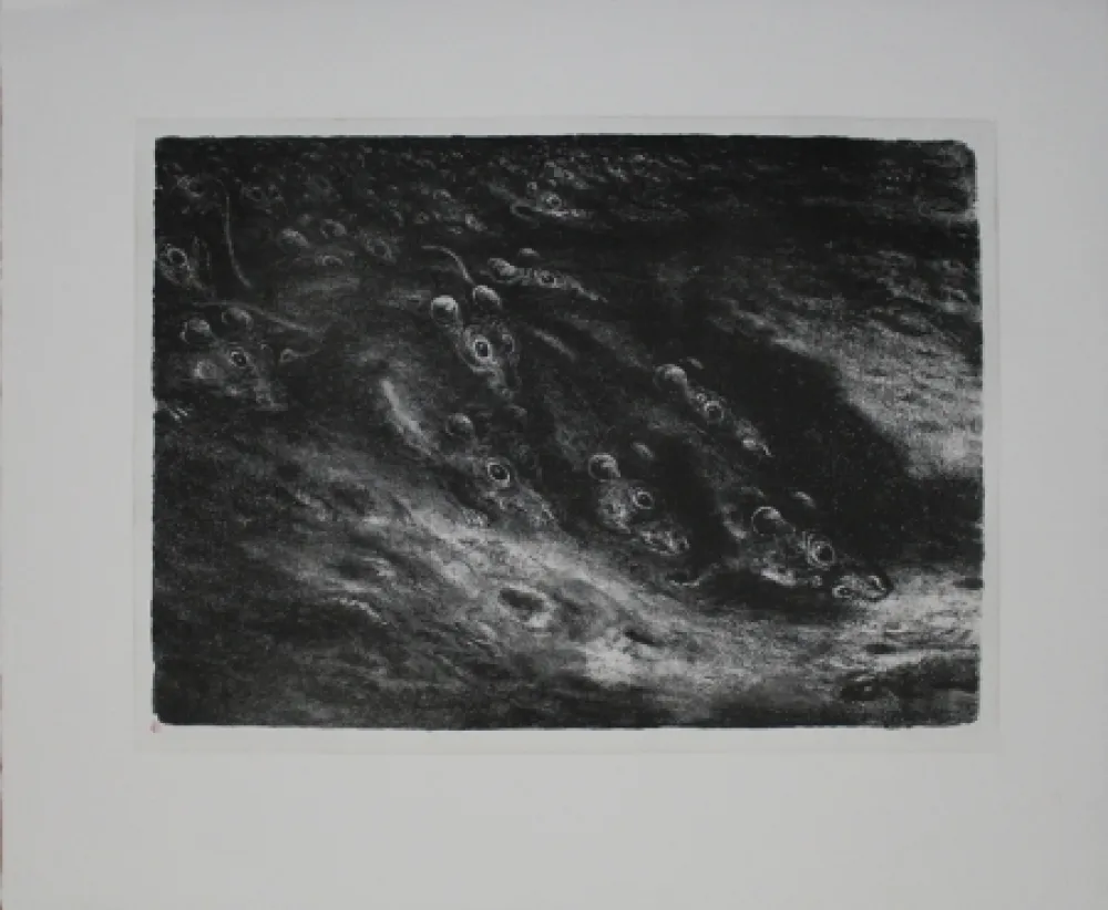 Lithografie Weber - Rattenzug