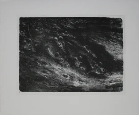 Lithografie Weber - Rattenzug