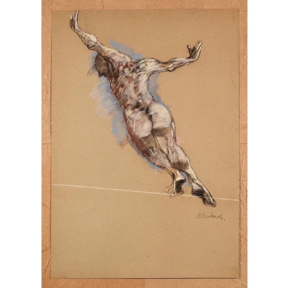 Geen Techniek Weisbuch - Le saut de l’ange