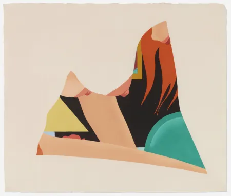Houtsnede Wesselmann - Bedroom Dropout