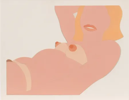 Geen Techniek Wesselmann - Great American Nude Cut Out 