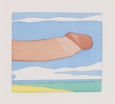 Reliëf Wesselmann - Seascape Penis