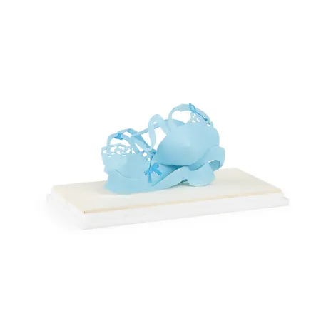 Geen Techniek Wesselmann - Tiny Dropped Bra (Maquette Liquitex)