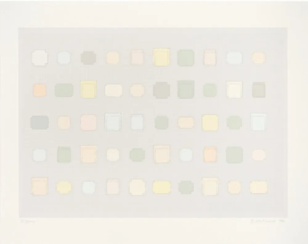 Zeefdruk Whiteread - 50 Spaces