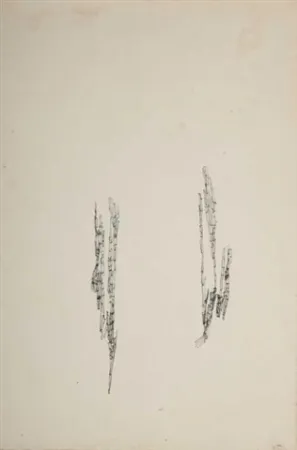 Geen Techniek Wols - Commencement d'un dessin