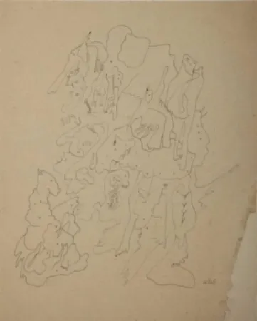 Geen Techniek Wols - Les rochers du zoo