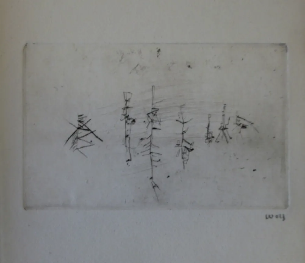 Geïllustreerd Boek Wols - L'invité des morts