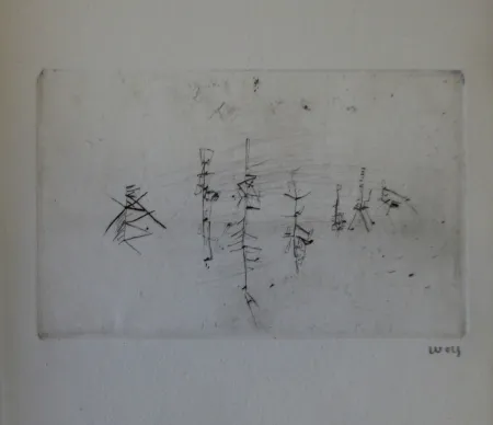 Geïllustreerd Boek Wols - L'invité des morts