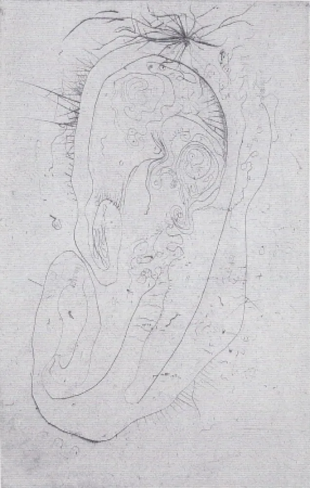 Geïllustreerd Boek Wols - Naturelles