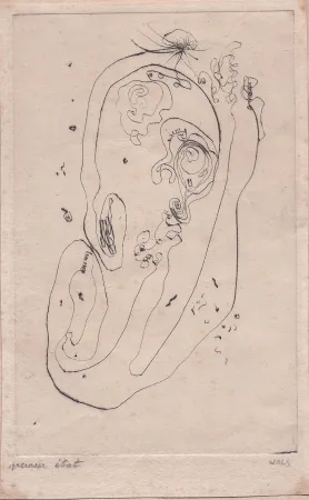 Droge Naald Wols - Ohr