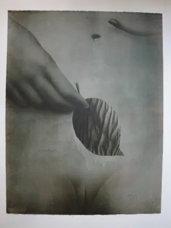 Lithografie Wunderlich - Das Blatt