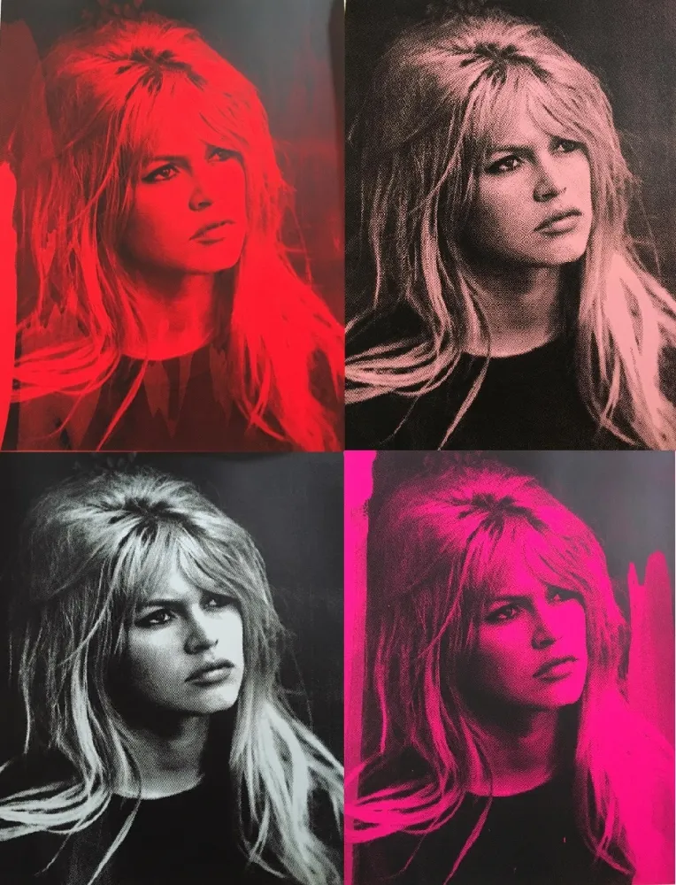 Zeefdruk Young - Brigitte Bardot Portfolio (4)