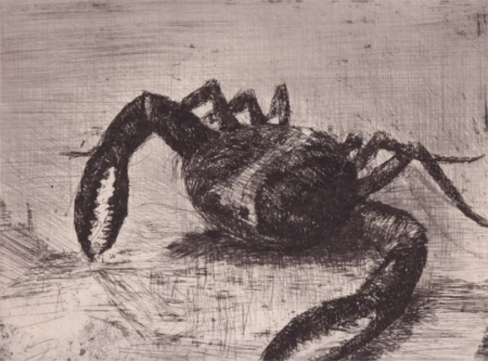 Geïllustreerd Boek Zamorano De Biedma - Bestiaire