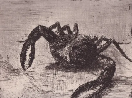 Geïllustreerd Boek Zamorano De Biedma - Bestiaire