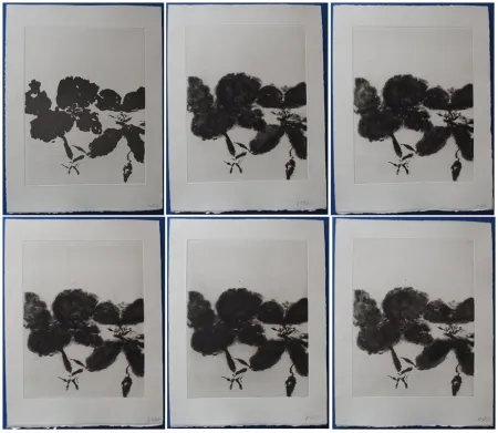Ets En Aquatint Zao - 6 états de la gravure 