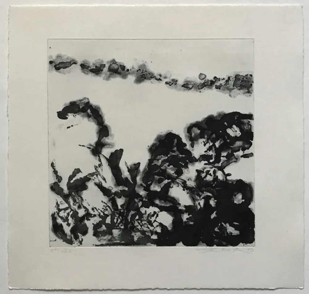 Ets En Aquatint Zao - Éloge des choses extrêmement légères (362)