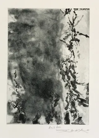 Ets En Aquatint Zao - Proustiennes (348)
