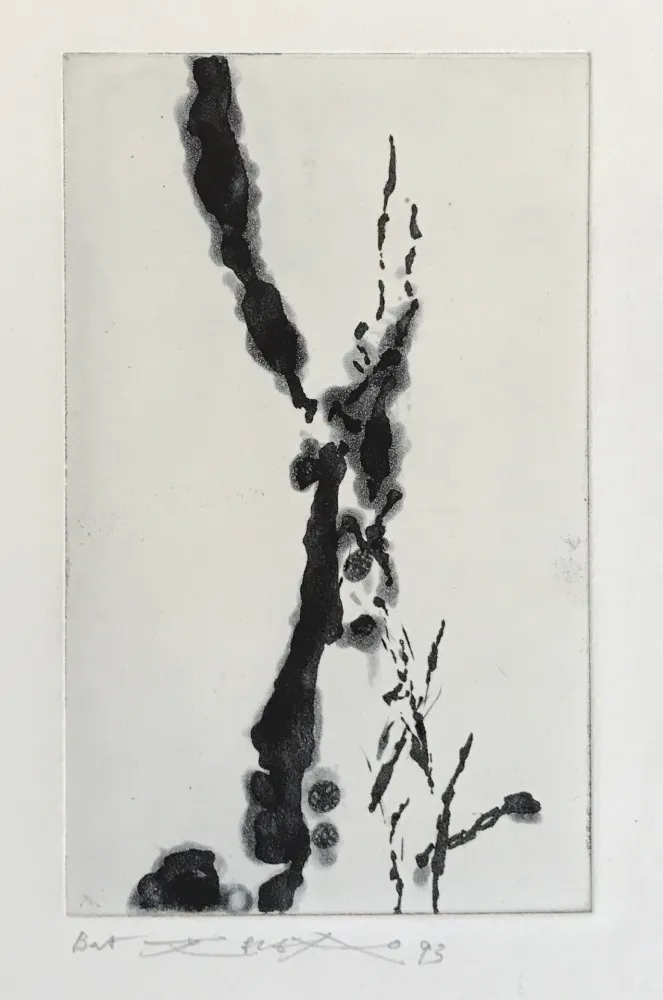 Ets En Aquatint Zao - Rompre le cri (374)