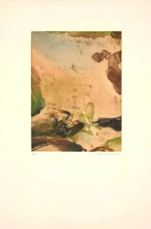 Ets En Aquatint Zao - Sans Titre