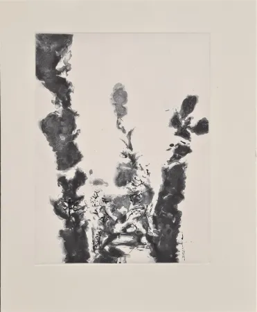 Ets En Aquatint Zao - XXIV Sonnets de Shakespeare